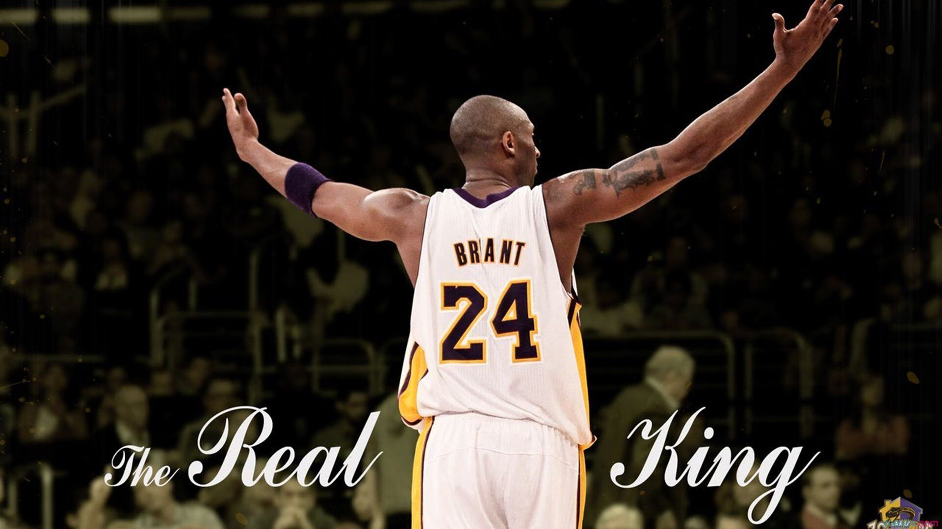 开云体育中国官网-_森林狼迎来反弹,球队士气大增_,森林狼近况